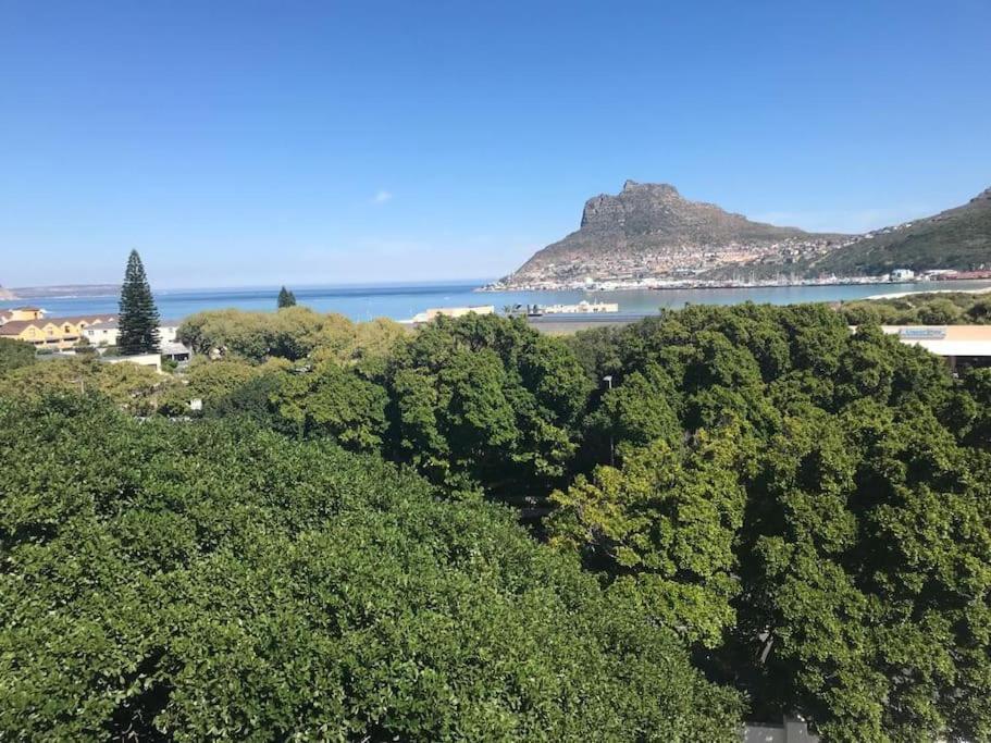 Chapman'S Peak, Loft Mit Sea-Und Mountainview Apartment Hout Bay Bagian luar foto