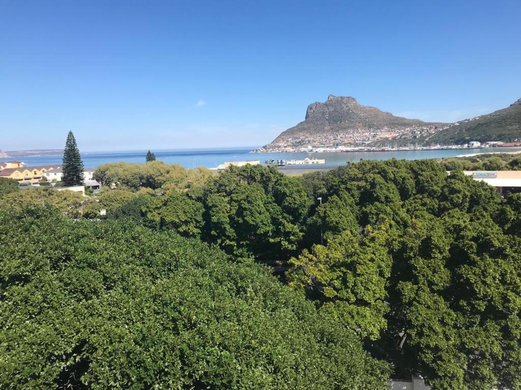 Chapman'S Peak, Loft Mit Sea-Und Mountainview Apartment Hout Bay Bagian luar foto